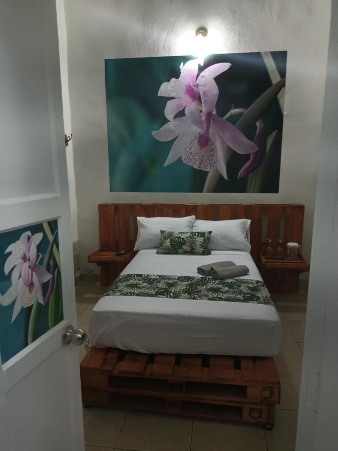 Casa-hotel boutique el jardín de Envigado Exterior foto